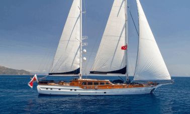 Gulet Voyage (226) master