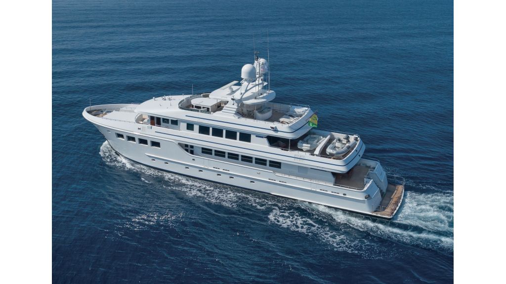 Happy Dolphin ii (501)