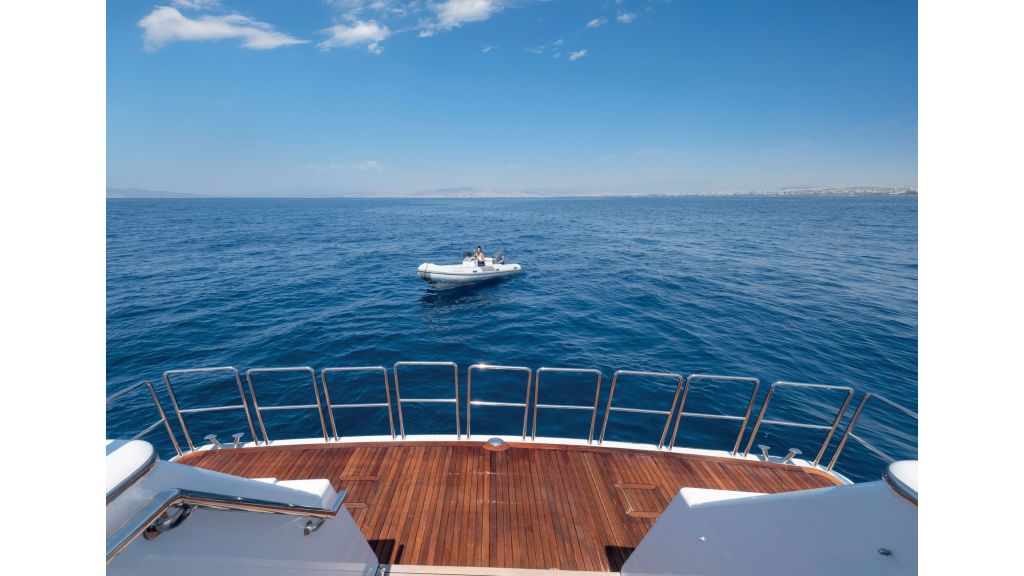 Happy Dolphin ii (511)