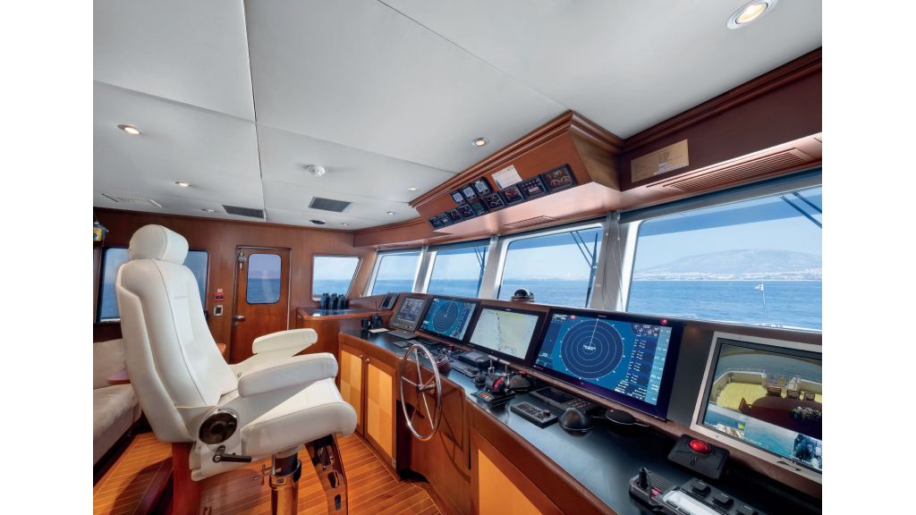 Happy Dolphin ii (532)