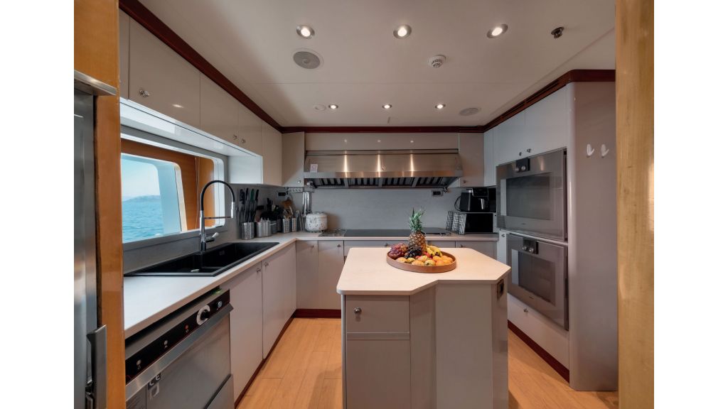 Happy Dolphin ii (533)