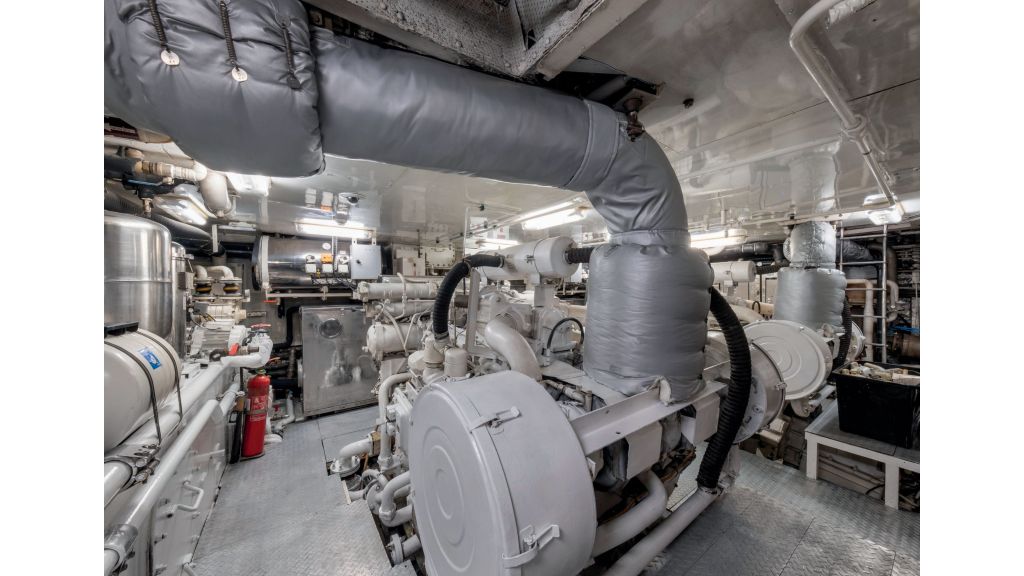 Happy Dolphin ii (534)