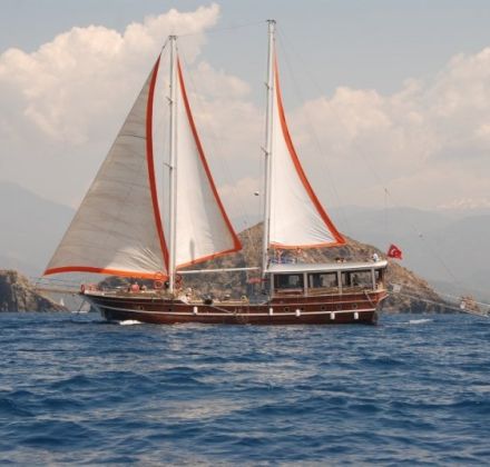 Daily Tour Boat