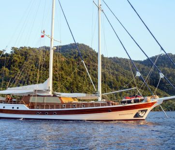 gulet wicked felina master 362 310