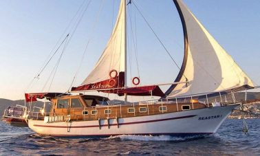 Sea Star 1