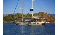 Turkish Commercial Charter Yacht for Sale (1)