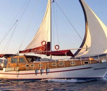 Sea Star 1