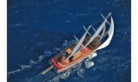 1287677981_why_not_ii_for_charter_gulet_6