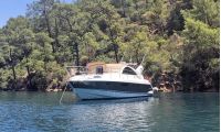 Flyer Targa 38