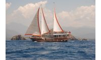 Daily Tour Boat