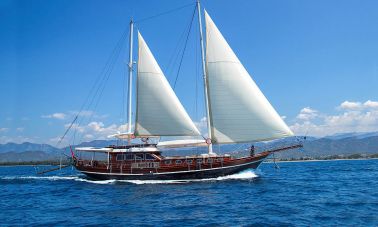 Bodrum style gulet for sale master
