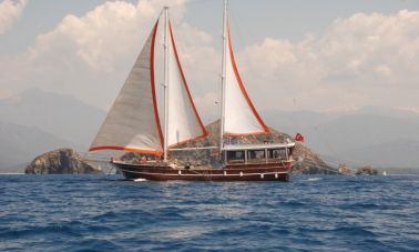 Daily Tour Boat
