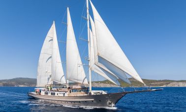 The Langley (502)