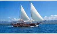 Bodrum style gulet for sale master